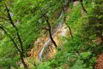 2014-07-05_Laengental-N-Hochweg (450). JPG